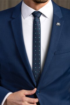 Pánska kravata BANDI, model GIRO slim 05
