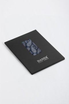 Pánska vreckovka BANDI, model ETERIO 03