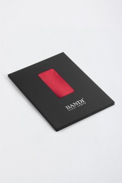 Pánska vreckovka BANDI, model GALLA 03