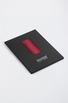 Pánska vreckovka BANDI, model GALLA 04