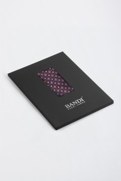 Pánska vreckovka BANDI, model MONSANO 04