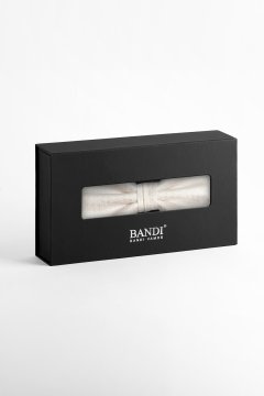 Pánsky motýlik BANDI, model ALBARO 05