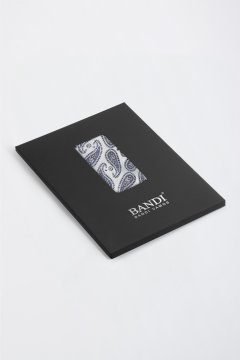 Pánska vreckovka BANDI, model ETERIO 02