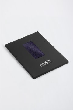 Pánska vreckovka BANDI, model ALBARO 01