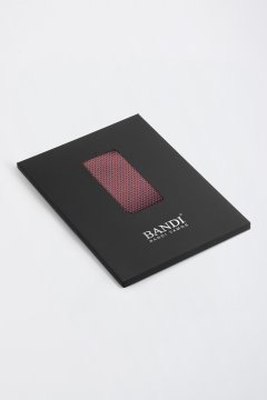 Pánska vreckovka BANDI, model ALQUEZ 17
