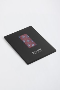 Pánska vreckovka BANDI, model VIRDIS 02