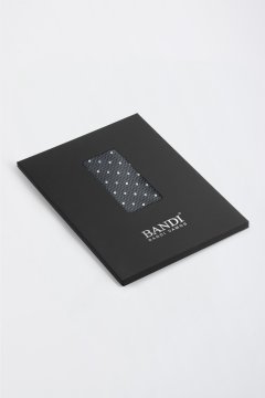 Pánska vreckovka BANDI, model SILVERO 05