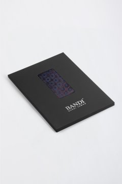 Pánska vreckovka BANDI, model MONSANO 03