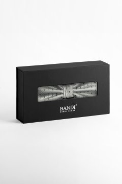 Pánsky motýlik BANDI, model SILVERO 04