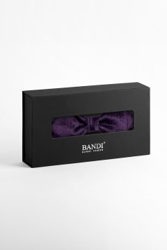 Pánsky motýlik BANDI, model ALBARO slim 01