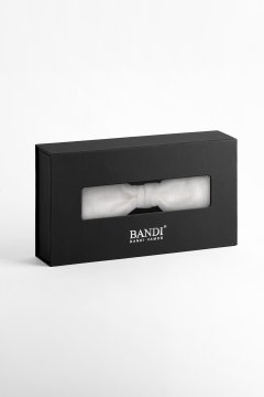 Pánsky motýlik BANDI, model ALBARO slim 04