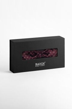 Pánsky motýlik BANDI, model SILVERO slim 01