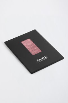 Pánska vreckovka BANDI, model SILVERO 09