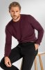 Pánsky sveter BANDI, model EDGARO Marsala