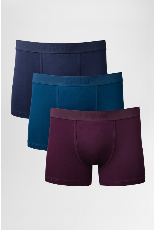Pánske boxerky BANDI, model BASTARDO 01 Colorido