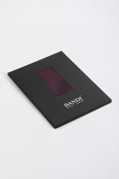 Pánska vreckovka BANDI, model APSITO 03