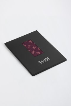 Pánska vreckovka BANDI, model BRUCO 05