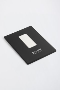 Pánska vreckovka BANDI, model VIVALIO 02