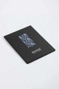 Pánska vreckovka BANDI, model AVOLTO 02