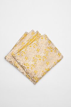 Pánska vreckovka BANDI, model FLERIO 01