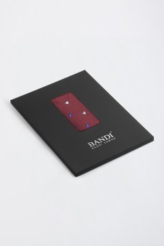 Pánska vreckovka BANDI, model GIRO 03